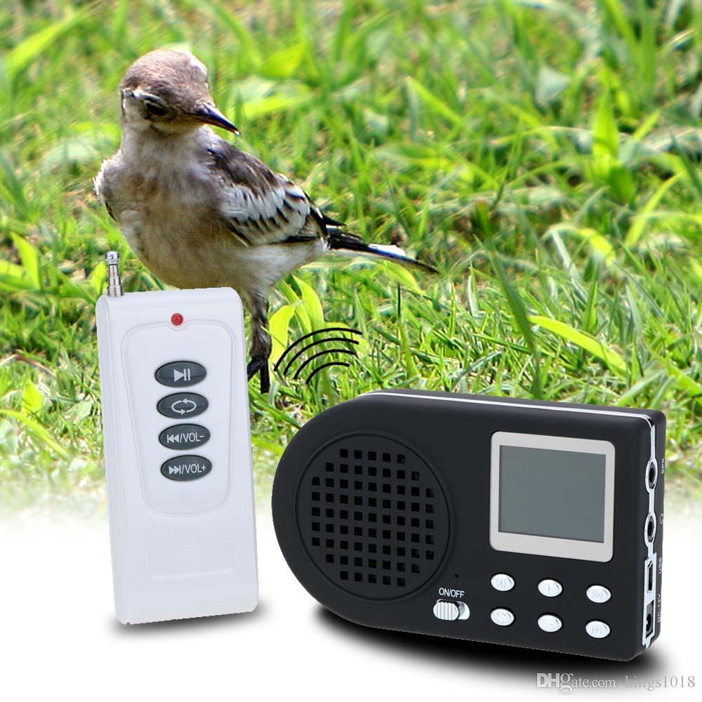 PK MP3 Bird