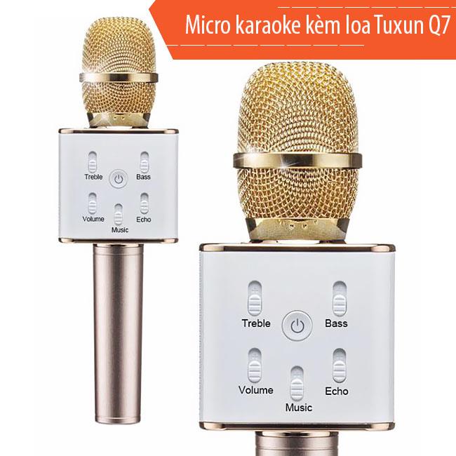 PK Micro Karaoke Q7U