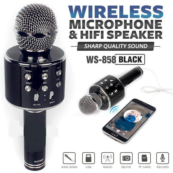 PK Micro Karaoke WSTER WS858