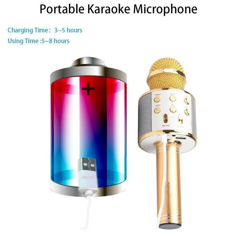 PK Micro Karaoke WSTER WS858